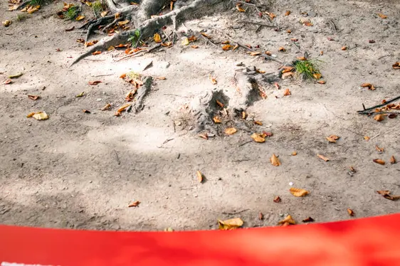 Nstalazion permanënta dl'autonomia