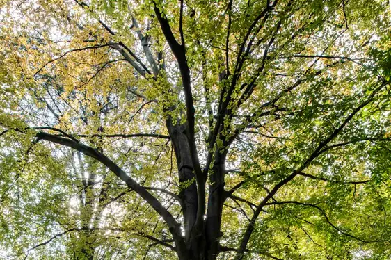 Mostra permanente Autonomia