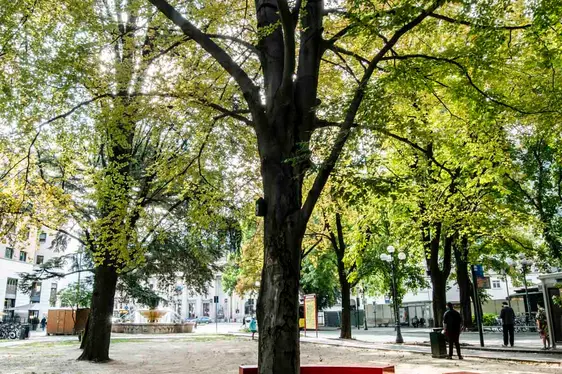 Nstalazion permanënta dl'autonomia