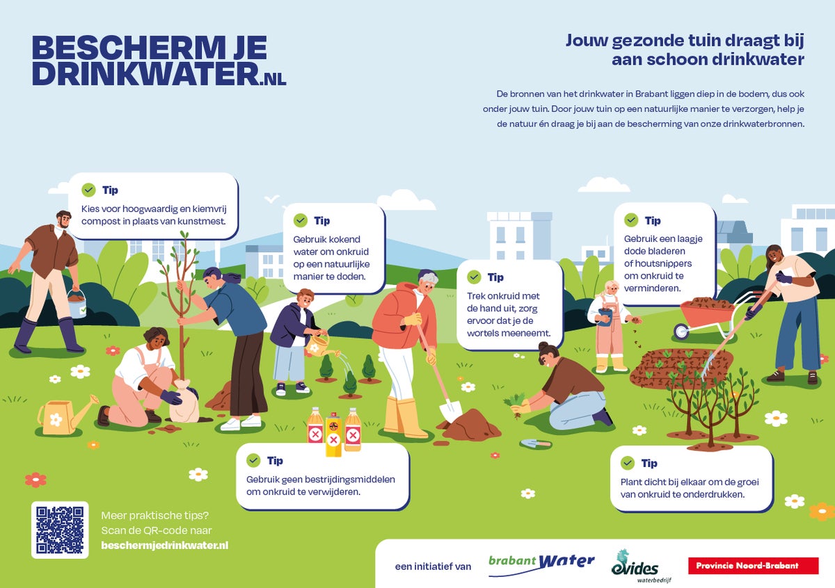 Infographic toolbox