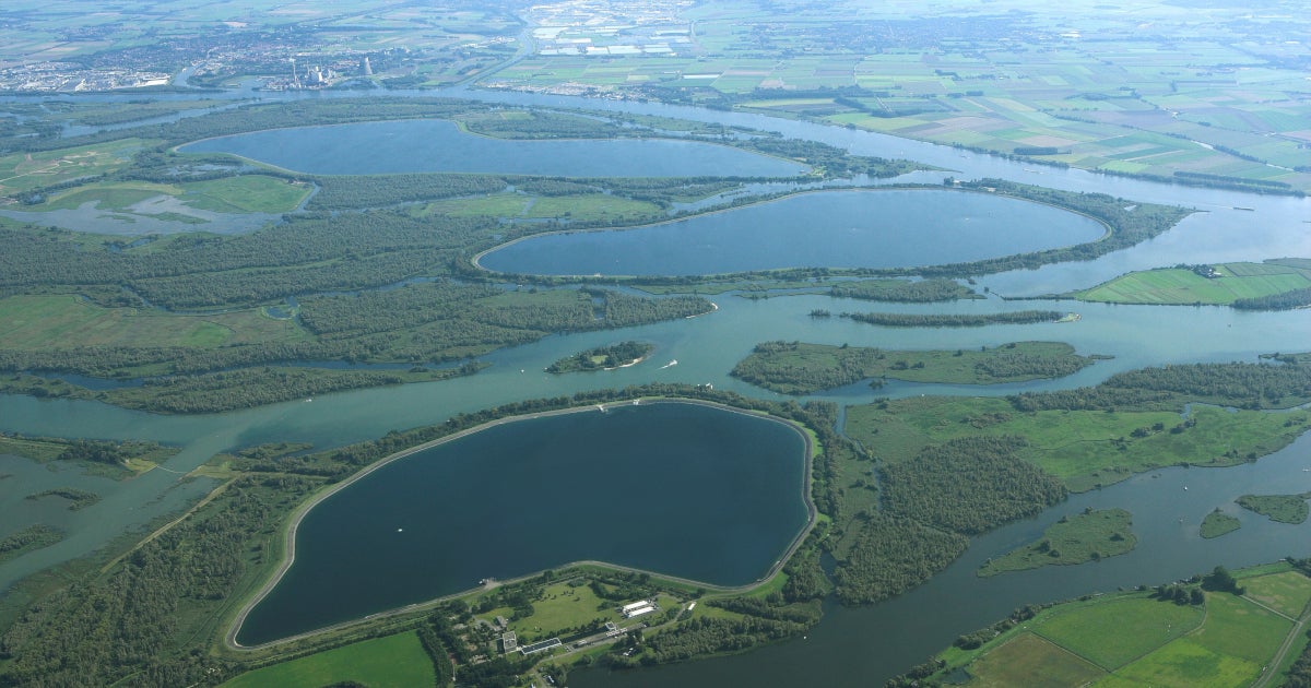 Spaarbekkens in de Biesbosch.