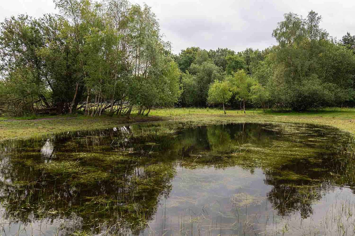 Evides Huijbergen