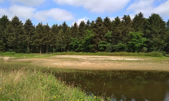 Het natuurgebied in Oost-Zeeuws Vlaanderen.
