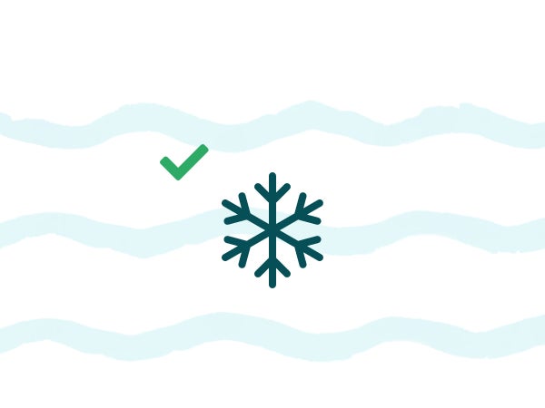 icoon sneeuwvlok