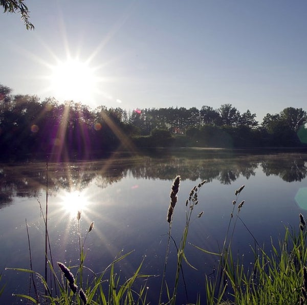 Zon bij een rivier