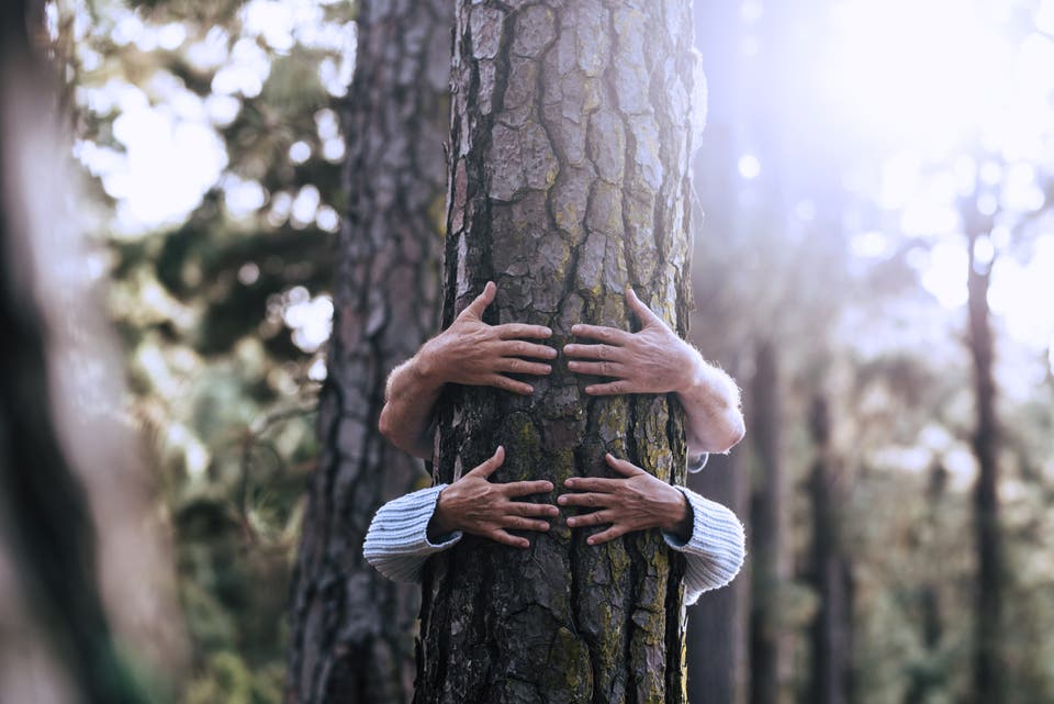 Dentsu Goes Green
