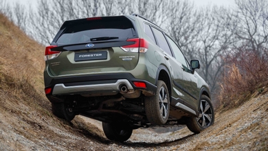 Subaru Forester off-road, rear
