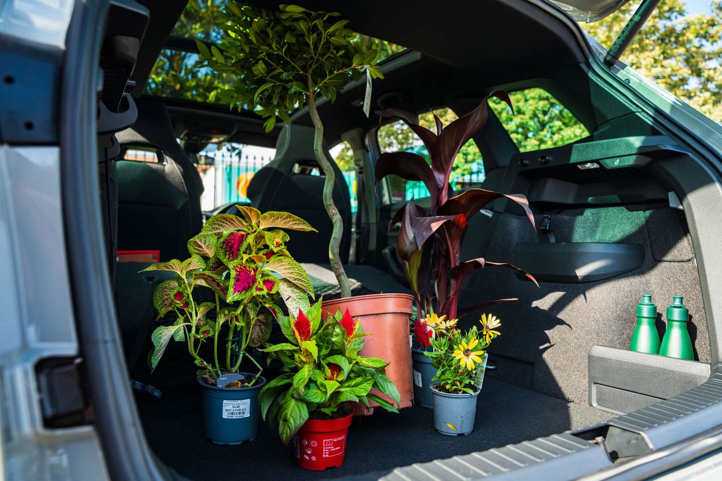 Skoda Karoq boot loaded with plants