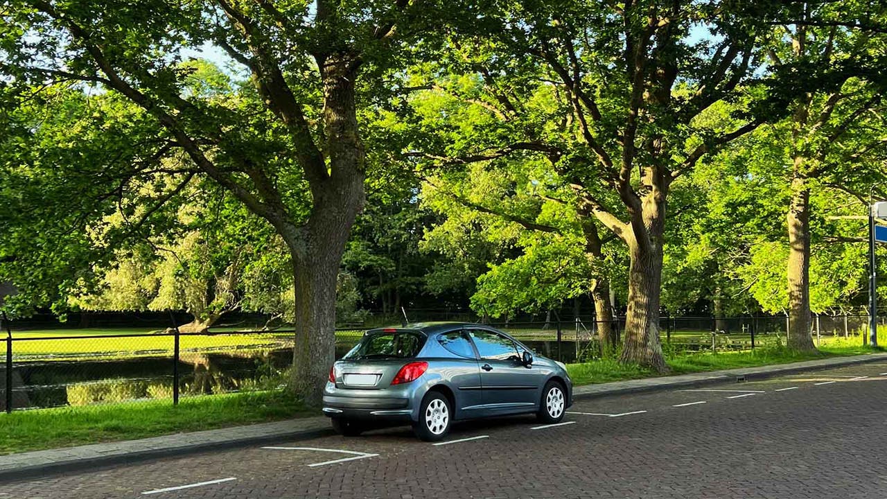 Car parked under a tree