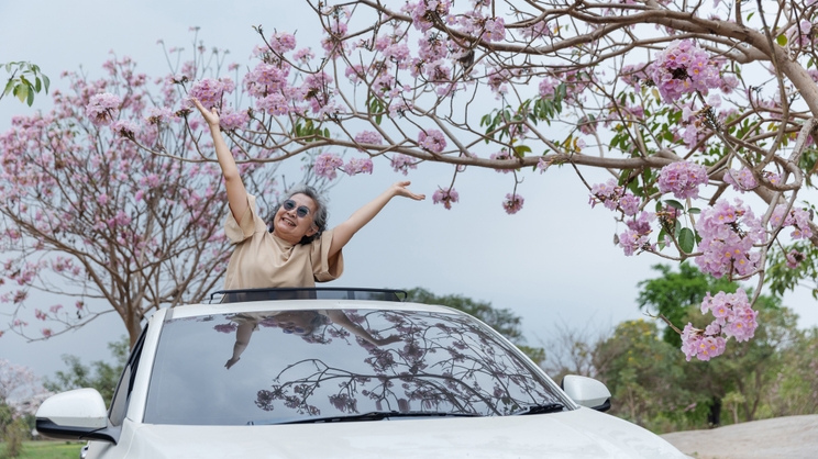 Best cars with a panoramic sunroof