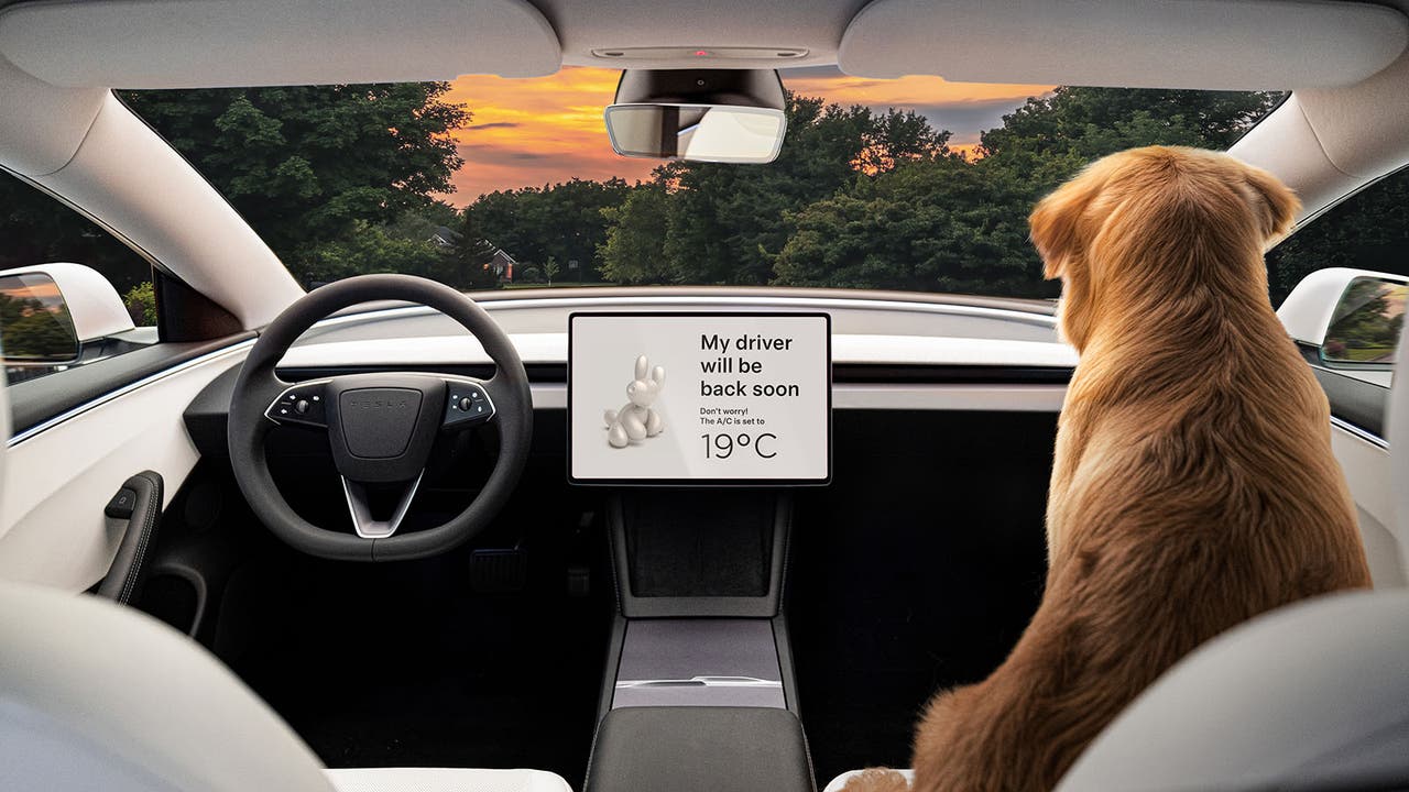 Tesla Model 3 using its climate control for 'dog mode'