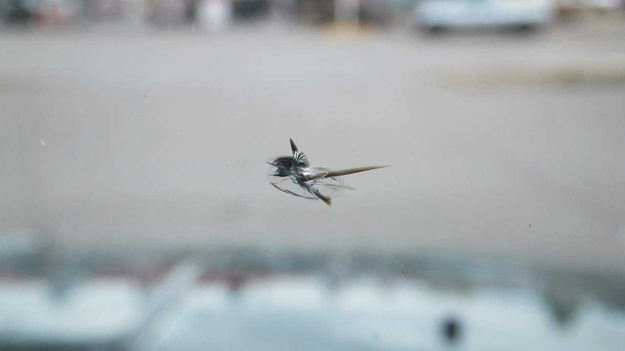 Large chip in a car's windscreen