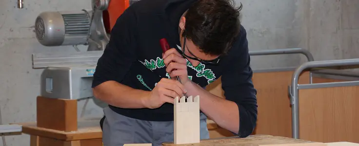 Berufsgrundstufe Holz Berufsgrundstufe Holz
