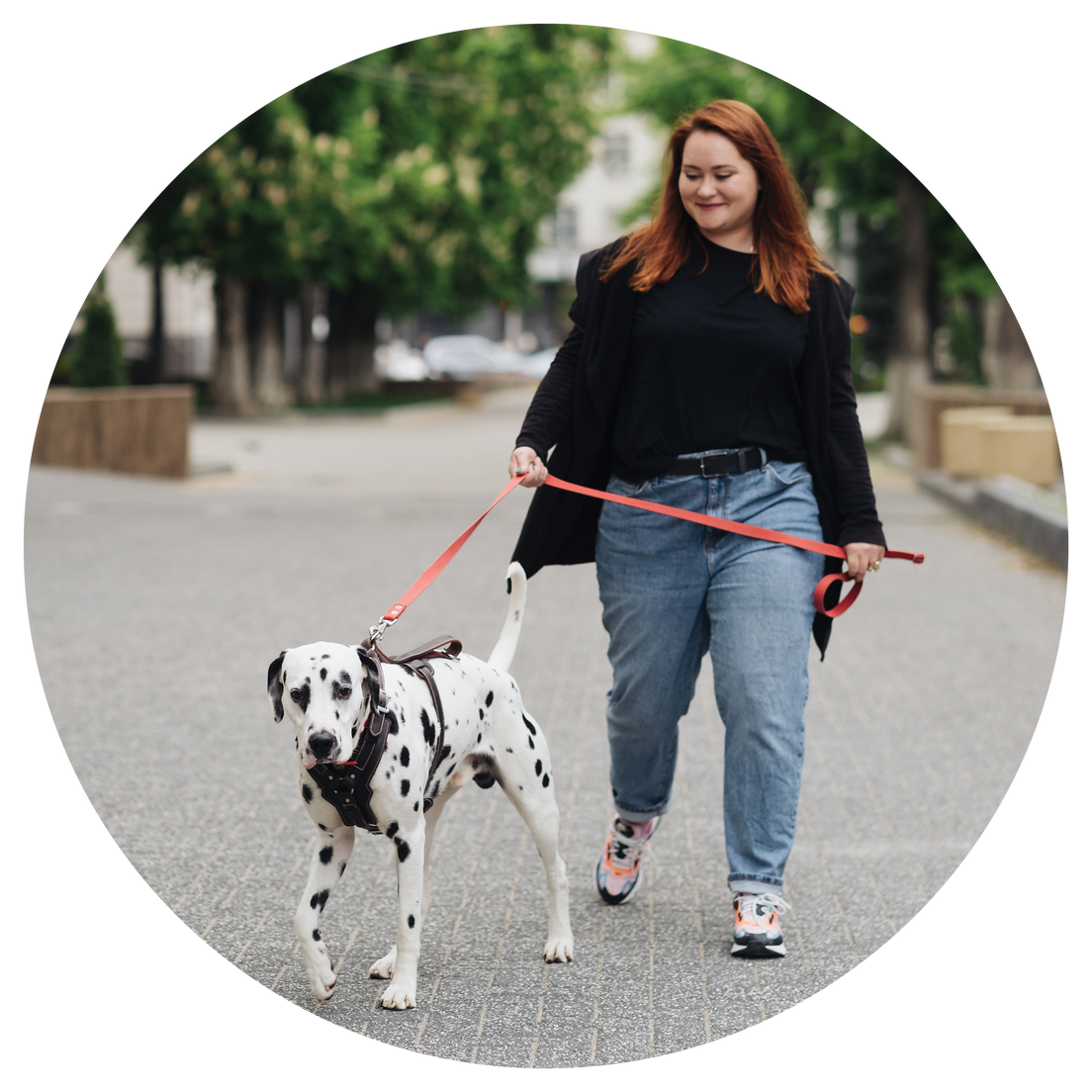 Woman walking a dog