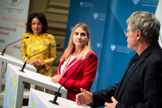 Il primario di ginecologia dell'ospedale di Bolzano Martin Steinkasserer dirige anche l'ambulatorio speciale per l'endometriosi (Foto: USP/Fabio Brucculeri)