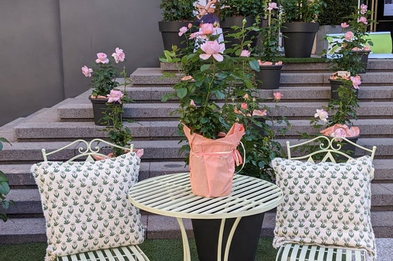 Die Treppe des Südtiroler Landtags als Kulisse