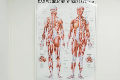 Infarto cardiaco, depressione, osteoporosi, diabete o emicrania e molte altre malattie hanno un decorso diverso nelle donne e negli uomini. La Provincia intende contribuire a integrare queste conoscenze nella ricerca, nella formazione e nella pratica quotidiana. (Foto: USP/Claudia Corrent)
